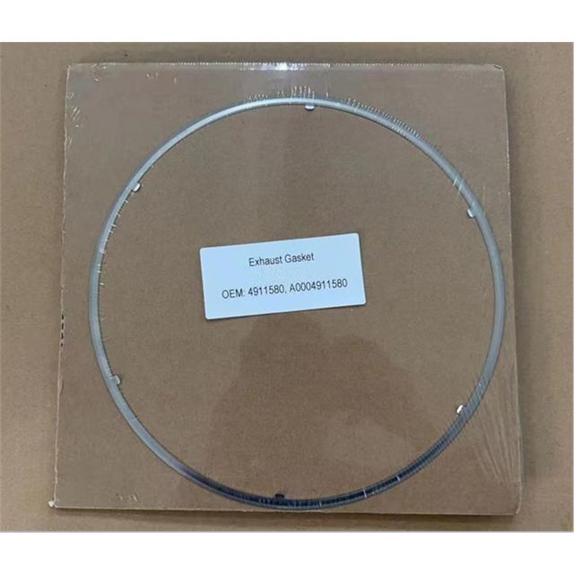 Gasket Kit for MERCEDES BENZ Diesel Engine Exhaust Purification System OEM: 4911580, A0004911580